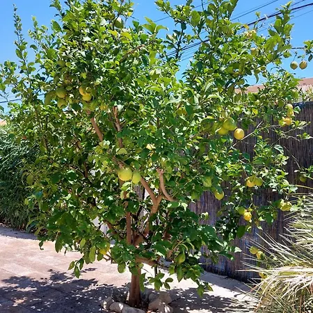 Ferienhaus In Meeresnaehe, Privater Pool, Garten Und Kostenlose Fahrraeder * Denia